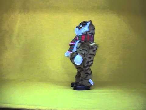 Видео: Танцующий кот, поет 2 песни