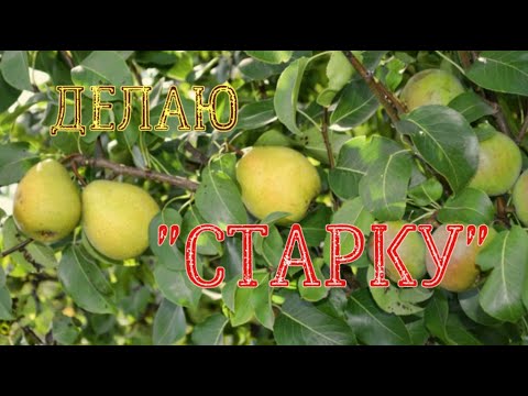 Видео: Как сделать "СТАРКУ" ? Какой вариант лучше?