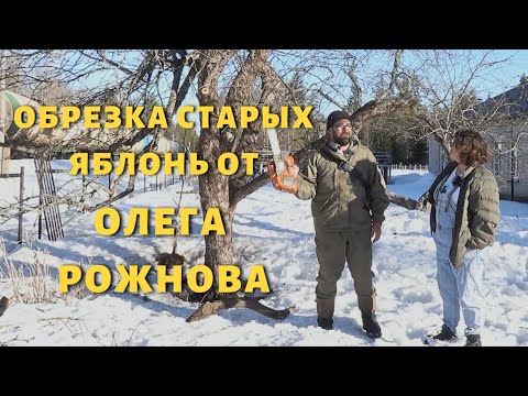 Видео: Обрезка старых яблонь от Олега Рожнова