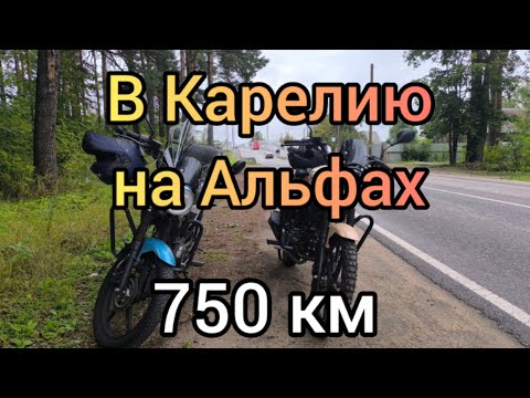 Видео: В КАРЕЛИЮ НА АЛЬФАХ 750 км