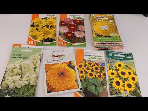 Видео: Ці квіти я вирощувати більше не буду / Гроші на вітер