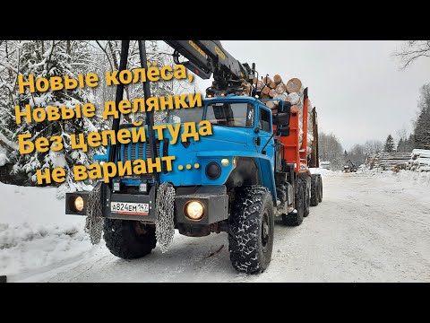 Видео: Новые колодки | Новые колёса | Новые делянки.