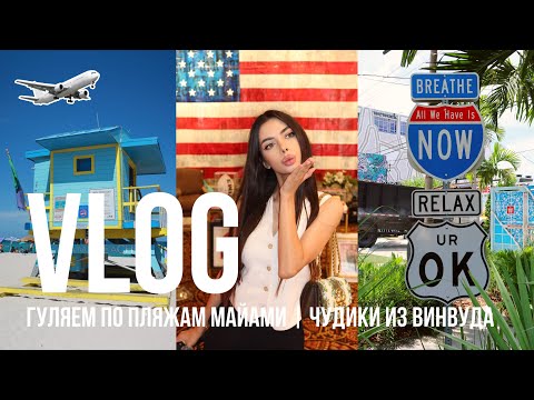 Видео: EVERYDAY VLOG // Майами в деталях / дикие попугаи и распаковки