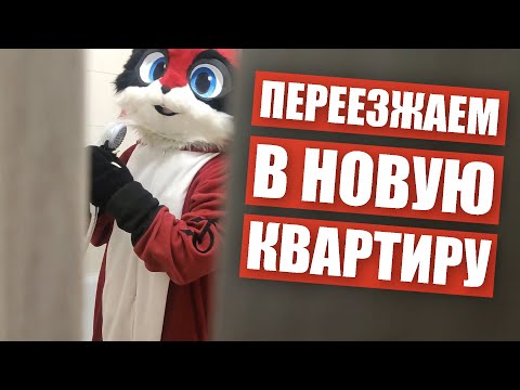 Видео: 😏 Переезжаем с СЫНОМ в новую квартиру ✅ Едем на самокатах в фурсьютах по городу