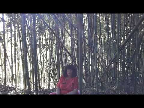 Видео: Что влияет на исполнение желания