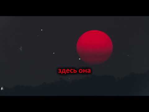 Видео: «Он остался на диване, я — с планом мести: результат поразил всех»