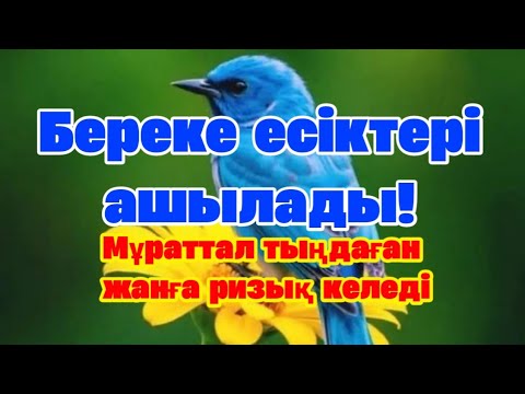Видео: ОҚЫП, ТЫҢДАҢЫЗ! 1 АПТАДАН КЕЙІН ІСІҢІЗ ЖОЛҒА ҚОЙЫЛАДЫ, РИЗЫҚ-МОЛ БОЛАДЫ."