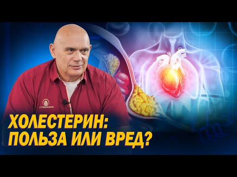 Видео: Как связаны скорость кровотока и уровень холестерина в организме? Вся правда о холестерине