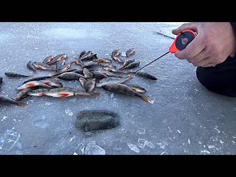 Видео: ВТОРОЙ ПЕРВЫЙ ЛЁД!!! БЛЕСНА, РАЗЛОВИЛ БЕЗМОТЫЛКУ