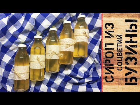 Видео: Сироп из соцветий бузины! Пробовали?!