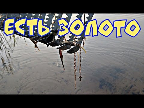 Видео: Прёт золото.Поисковые грабли нашли золото.🌊👍💎
