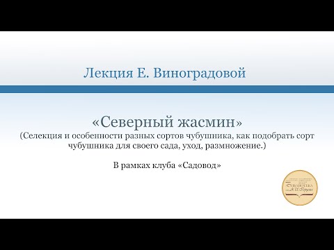 Видео: Лекция «Северный жасмин»