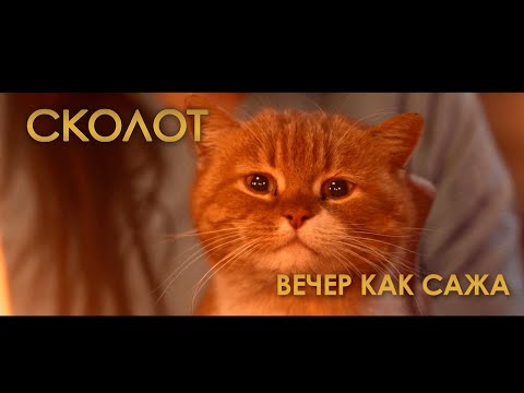 Видео: СКОЛОТ - Вечер как сажа (Official Music Video) #Сколот #Skolot