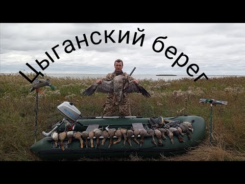 Видео: Открытие охоты на утку в НСО . цыганский берег не перестаёт радовать 