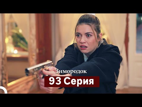 Видео: Зимородок 93 Cерия (Русский дубляж)