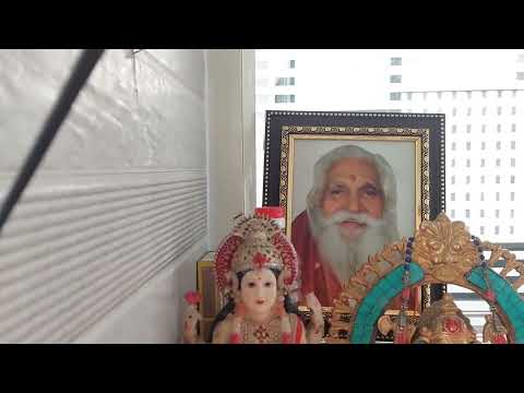 Видео: 46.Индия.Путтапарти.Клиника доктора Рао.Чип или Дейл. Змейка.