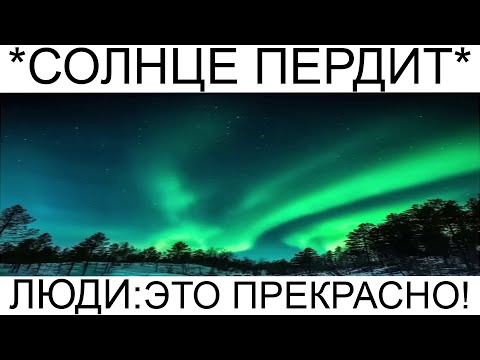 Видео: Дневная подборка мемов 883