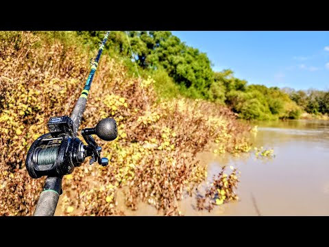 Видео: Крупная рыба обожает затопленные кусты!!! (высота 17 футов)