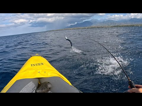Видео: Бешеный Сарган или избегающий Тунец, кто первый отберёт приманку?!┃2 дня с каяком в море.  Часть 1