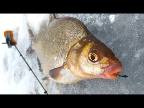 Видео: ЧЁРТИКИ на ТЕЧЕНИИ !!! Новый опыт на Белоярском водохранилище.