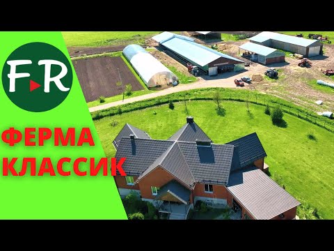 Видео: Доход только с фермы! Классическая ферма на хуторе. Молочное и мясное скотоводство КФХ Герефорд.