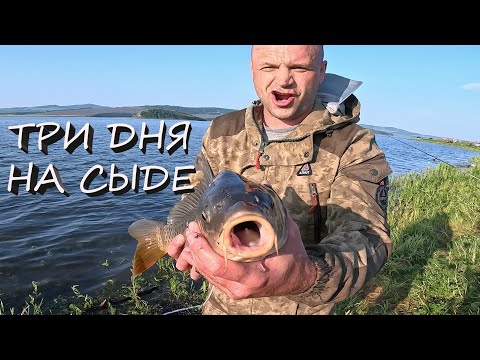 Видео: ИЮНЬ - НА РЫБАЛКУ ПЛЮНЬ!!! ШАШЛЫК ИЗ САЗАНА