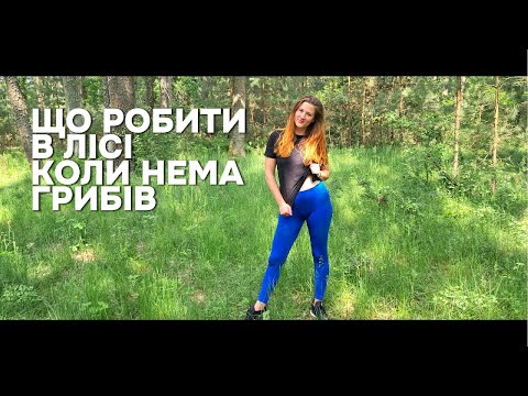 Видео: Коли в лісі грибів не знайшли...