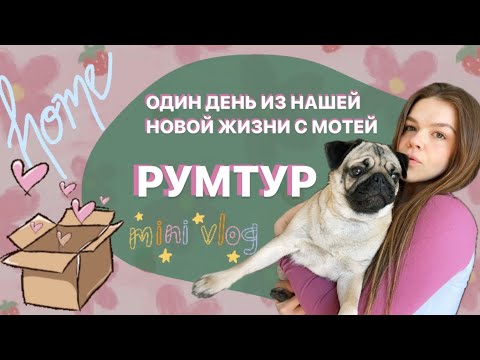 Видео: DAILY VLOG | МОПС МОТЯ | РУМТУР