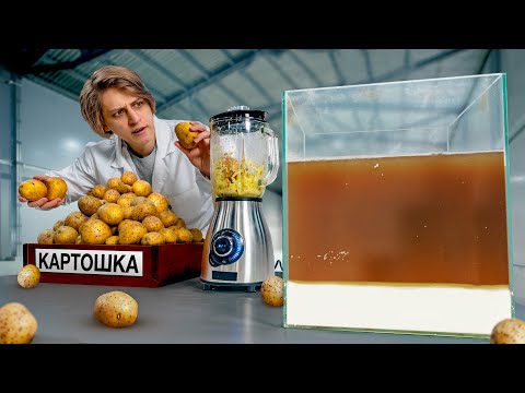 Видео: Сколько неньютоновской жидкости в 100 картошках?