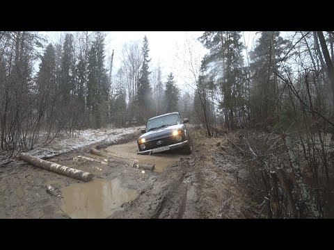 Видео: Пробираемся в город из деревни