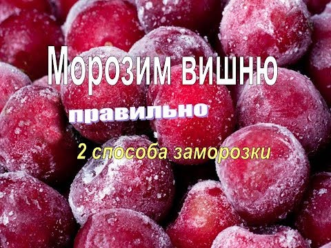 Видео: Как заморозить вишню. Правильный, проверенный способ, ягодка к ягодке. Заготовка на зиму.