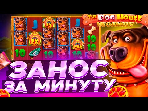 Видео: БЫСТРЫЙ ЗАНОС В СЛОТЕ THE DOG HOUSE MEGAWAYS | ЗАНОС В СОБАКАХ | ЗАНОСЫ НЕДЕЛИ