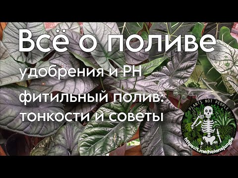 Видео: Как и когда поливать растения? Фитильный полив. Удобрения и PH