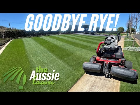 Видео: Этот газон из райграса выглядит ИДЕАЛЬНО… Но его пора убрать!