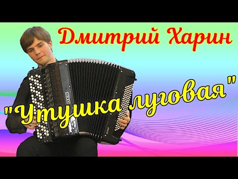 Видео: В. Иванов Парафраз на тему РНП "Утушка луговая" Играет Дмитрий Харин НСМШ Новосибирск