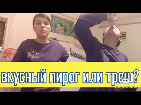 Видео: Vlog Как приучить кота к вкусняшкам?