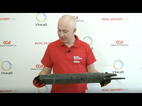 Видео: Что не так? С Иваном Кобелевым. Разбор муфты МОГ-Т