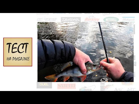 Видео: Дроп Шот. Окунек начинает поклевывать.