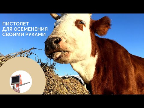 Видео: Пистолет для осеменения КРС. Визуальный эндоскоп.