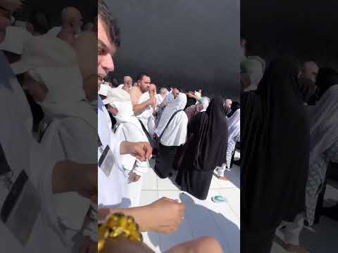 Видео: 22 октября 2025 г.