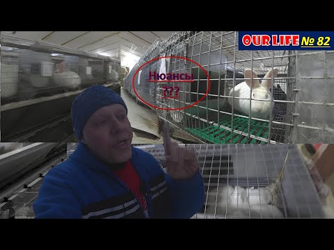 Видео: От захвара до диеты.Реальные вызовы в кролиководстве.From capture to diet Real challenges in rabbit.