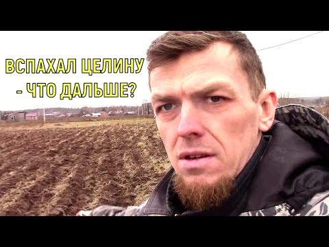 Видео: ЧТО ДЕЛАТЬ ПОСЛЕ ВСПАШКИ ЦЕЛИНЫ?!