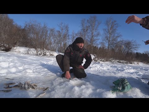 Видео: Откуда в этом РУЧЬЕ столько рыбы!!! Таëжная речка прям удивила)))