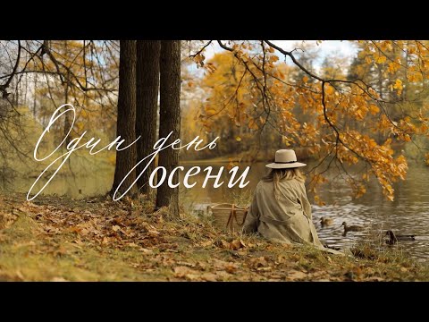 Видео: Один День Ноября 🍁Уютная и Медленная осень