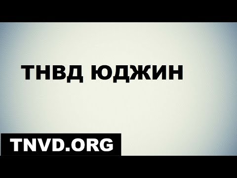 Видео: ТНВД юджин