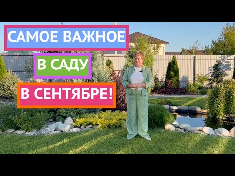 Видео: ОБЯЗАТЕЛЬНО СДЕЛАЙТЕ ЭТО В САДУ В СЕНТЯБРЕ 2024!