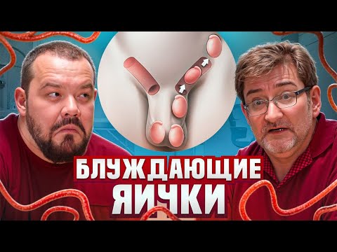 Видео: Блуждающие яички