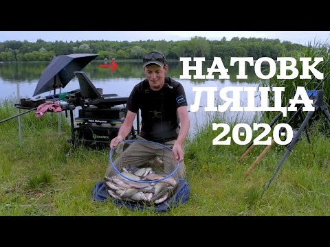 Видео: Ловля ЛЯЩА на ФІДЕР 2020. Рибалка в смт.Козова