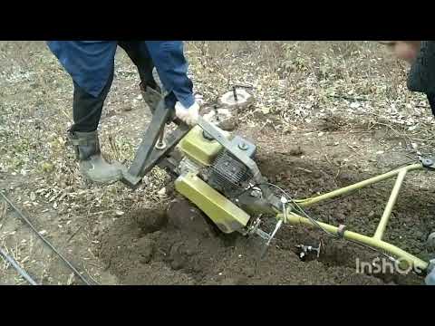 Видео: 8 ноября 2025 год .