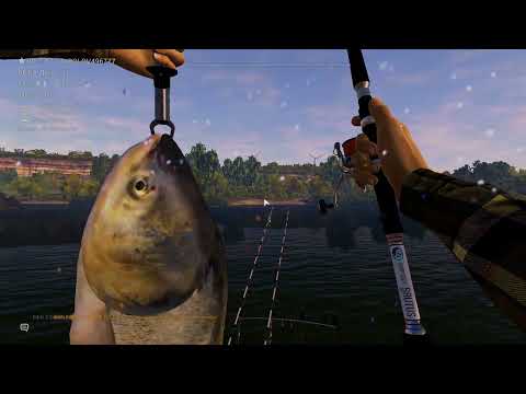 Видео: Fishing Planet. Река Днепр. Толстолобик. Амур. Сазан